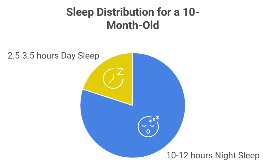 Sleep Distribution for a 10-Month-Old