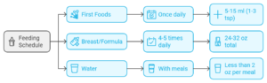 routine for a 7 month old, feeding schedule, introducing solid foods 7 month ol 